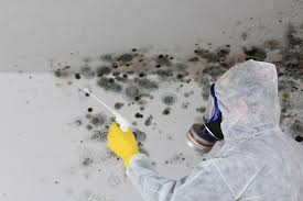 Best Commercial Mold Inspection in Hershey, PA